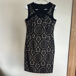 Enfocus Studio Black and Nude Knee Length Dress